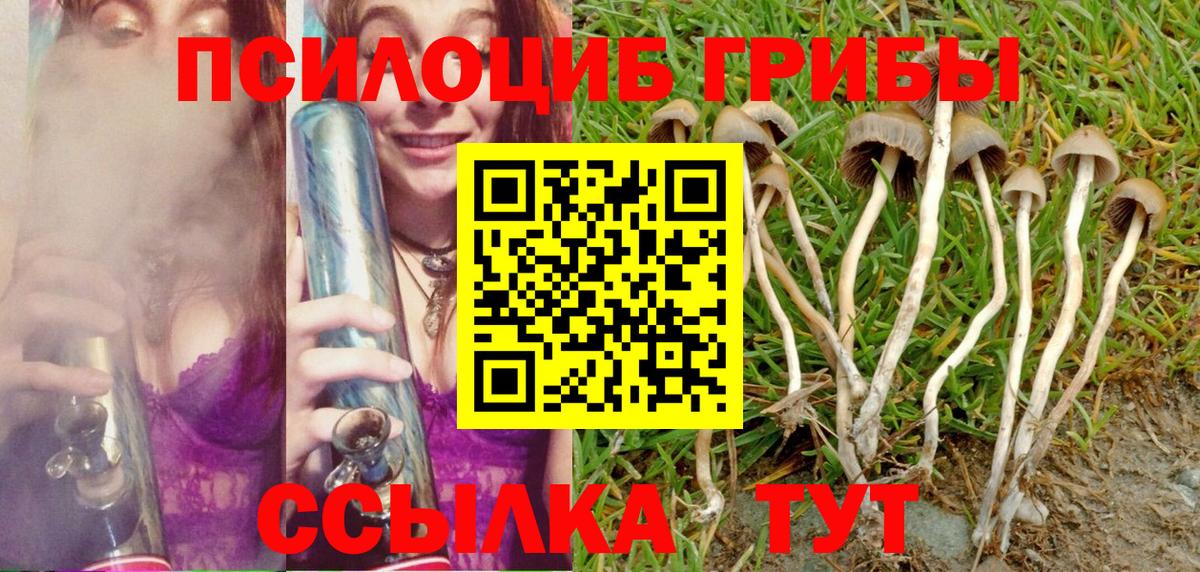 Галлюциногенные грибы Magic Shrooms  Вход с VPN  Электрогорск 